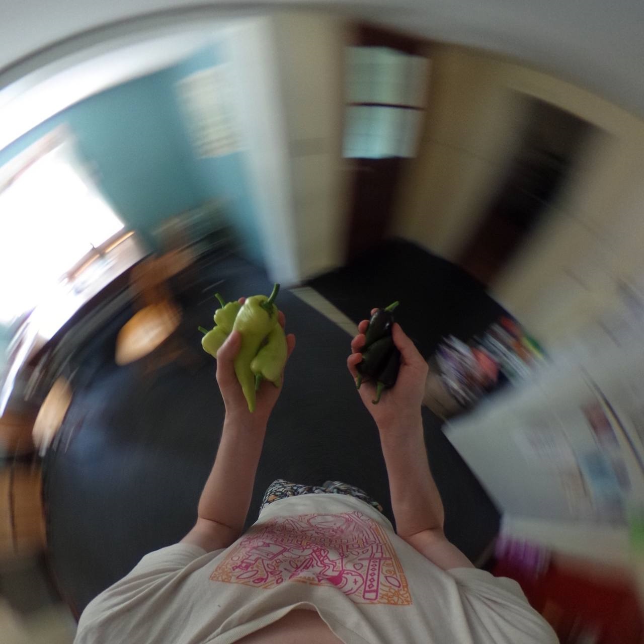 First person shot of spinning while holding green and purple peppers